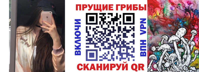 Псилоцибиновые грибы Cubensis Горячий Ключ